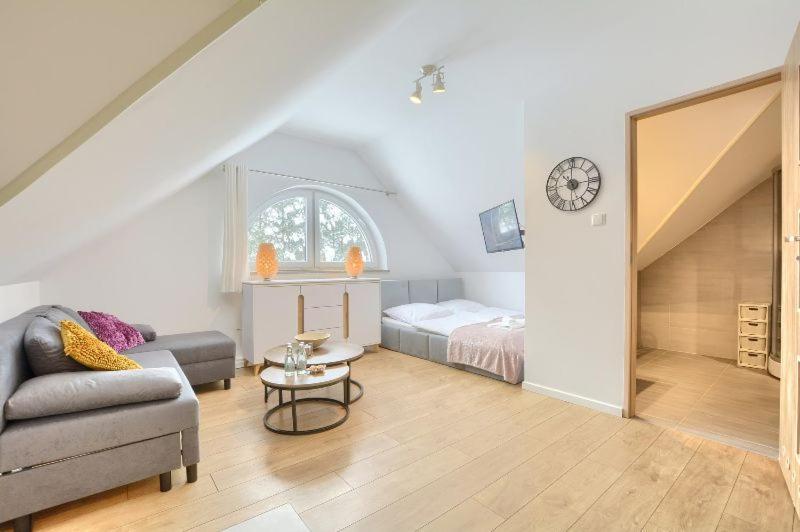 Apartment Dworek *